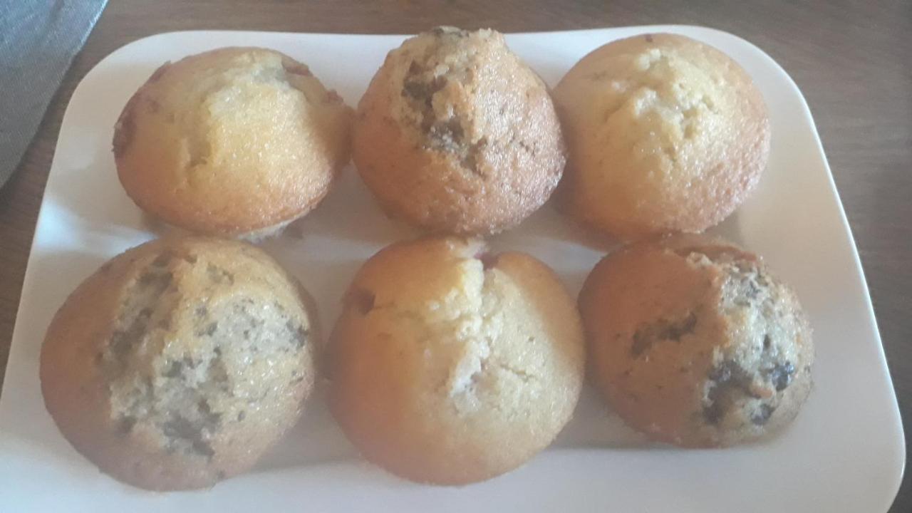 Soulignonne La Mesonnetta Bed & Breakfast エクステリア 写真